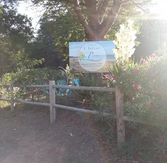 Majatalo Résidence Fleur Des Pins   Gites & Chambres D Hôtes