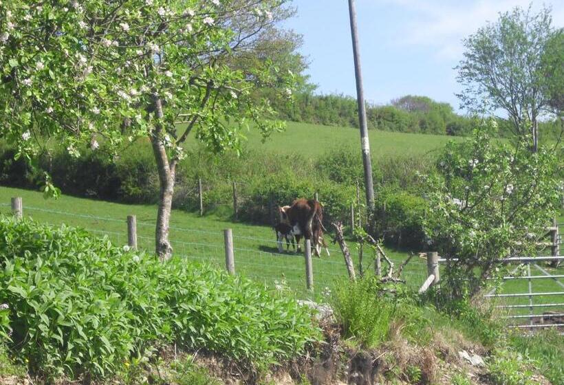 酒店 Staylittle Farm