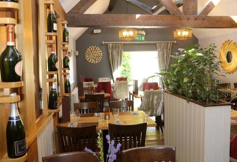 هاستل The Nags Head