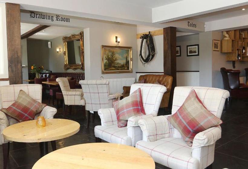 هاستل The Nags Head