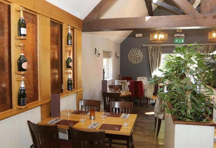 هاستل The Nags Head