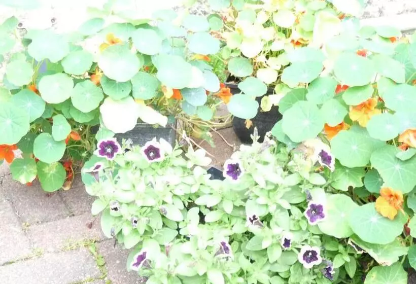 Majatalo Glengorm Guest House