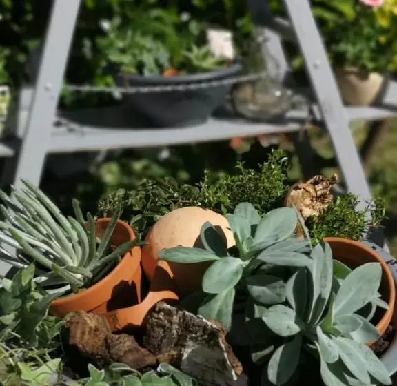 Pension Zur Alten Post