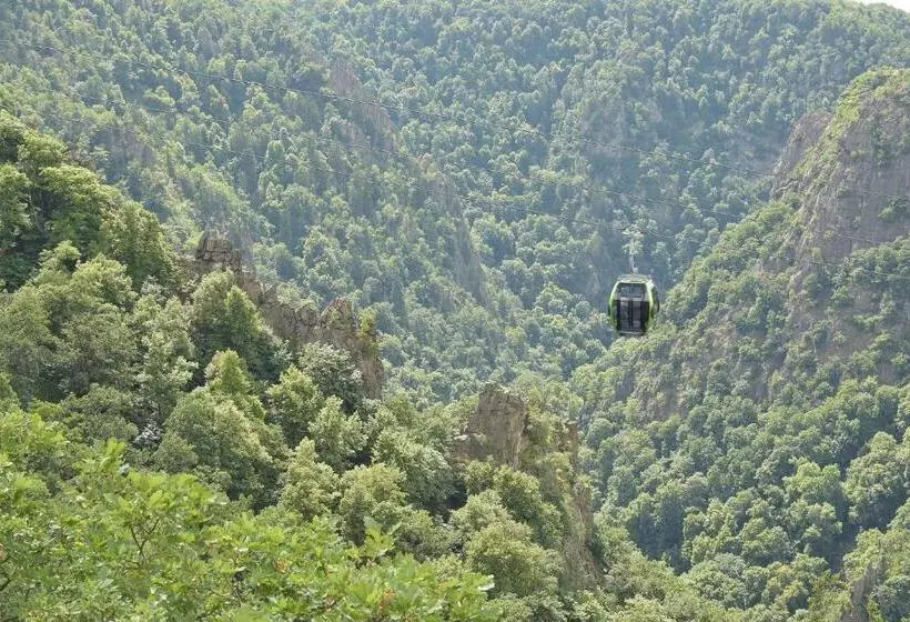 Pension Das Tann Rooms & Wine