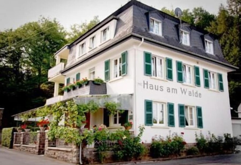 Pension Haus Am Walde Brodenbach, Mosel