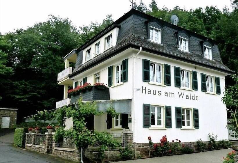Pension Haus Am Walde Brodenbach, Mosel