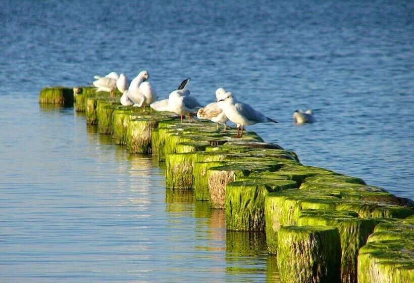 Gasthaus & Pension  Zur Schaabe