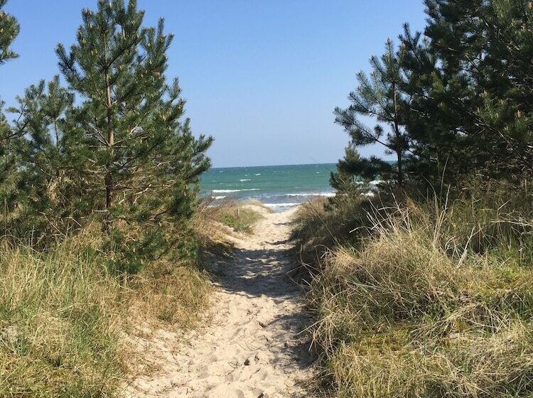 Gasthaus & Pension  Zur Schaabe