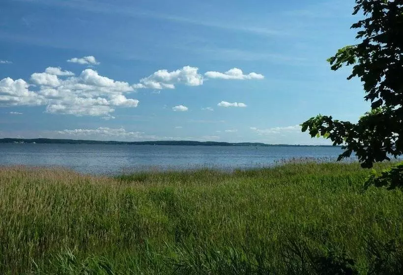 Gasthaus & Pension  Zur Schaabe