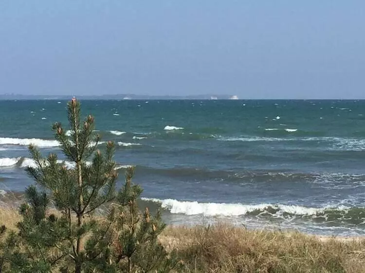 Gasthaus & Pension  Zur Schaabe