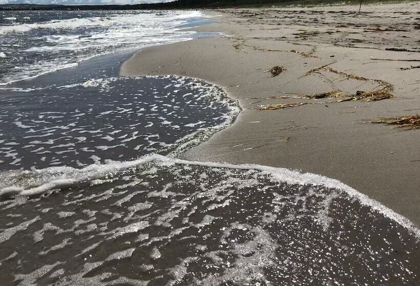 Gasthaus & Pension  Zur Schaabe