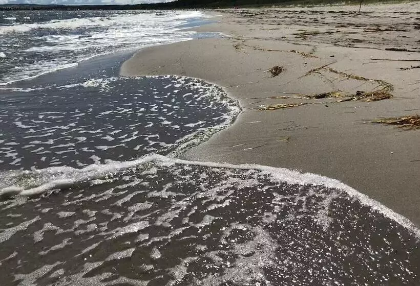 Gasthaus & Pension  Zur Schaabe