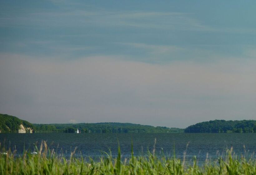 Gasthaus & Pension  Zur Schaabe