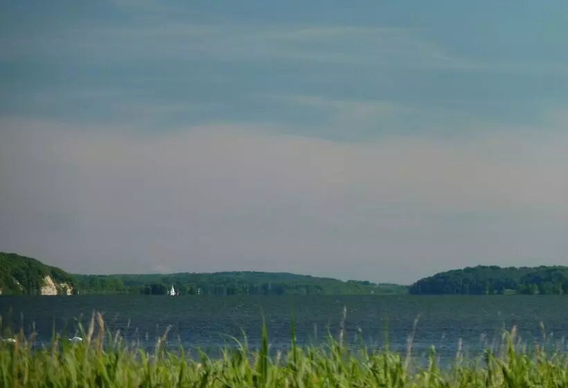 Gasthaus & Pension  Zur Schaabe