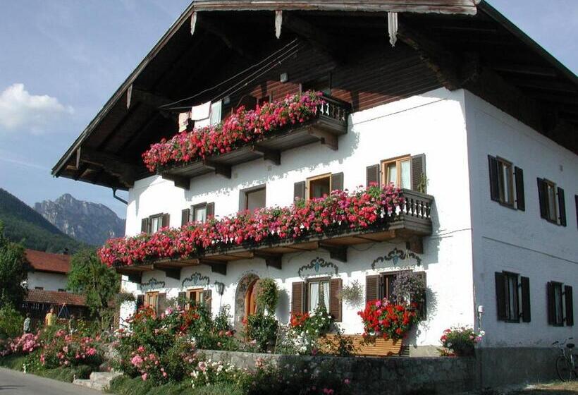 Hotel Biererhof