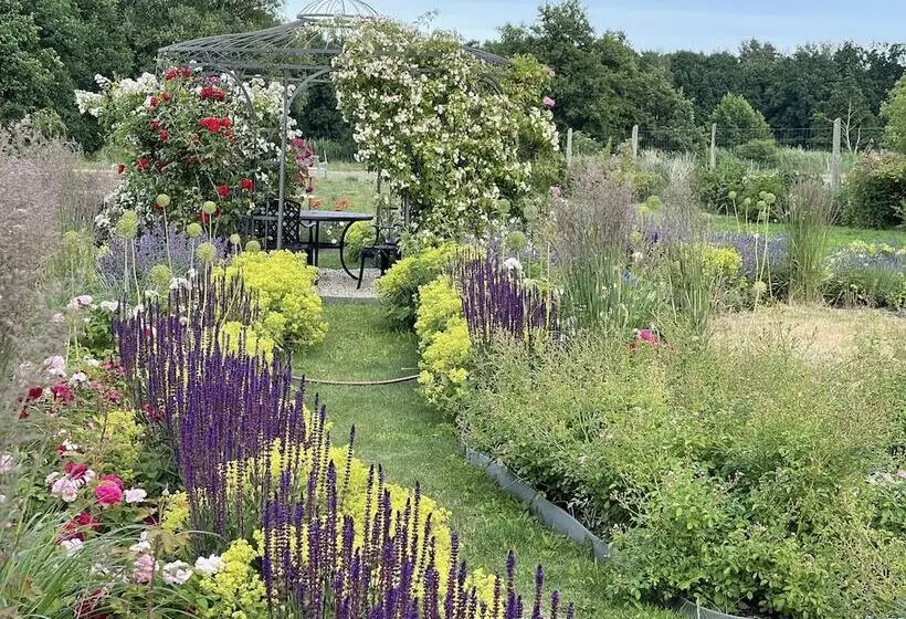 ペンション Alwine  Landhaus An Den Spreewiesen