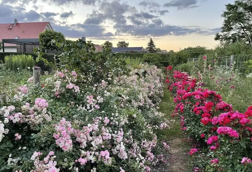 ペンション Alwine  Landhaus An Den Spreewiesen