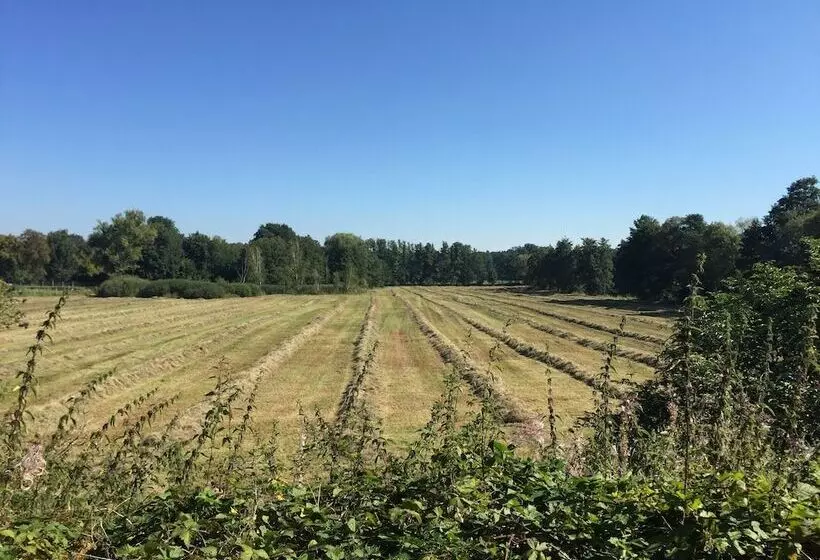 ペンション Alwine  Landhaus An Den Spreewiesen