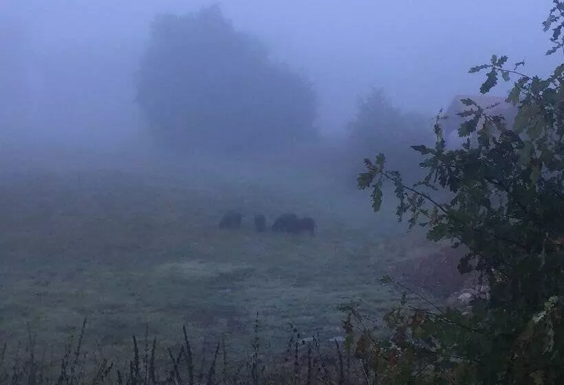 ペンション Alwine  Landhaus An Den Spreewiesen