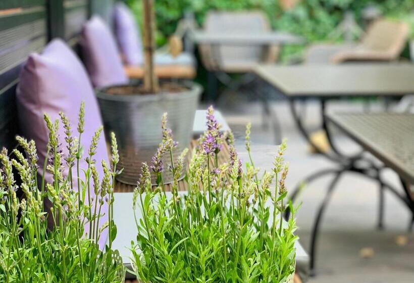 Пансион Zum Weißen Haus