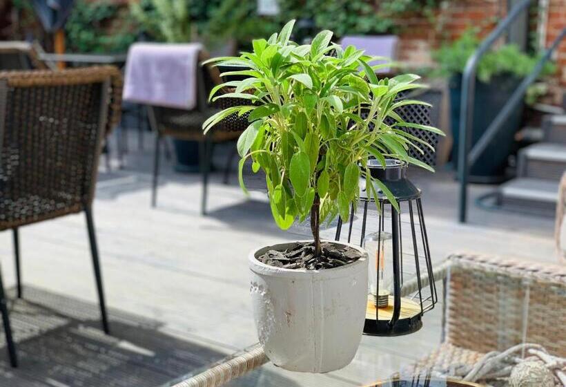 Пансион Zum Weißen Haus