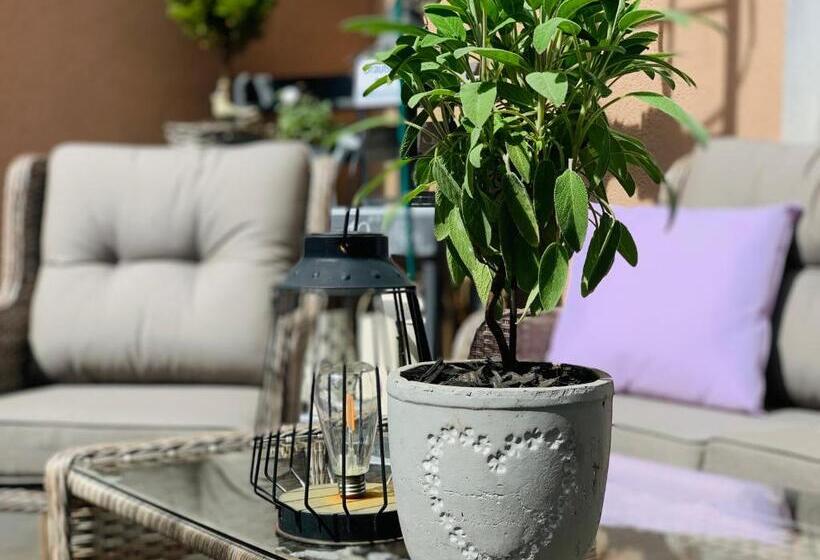 Пансион Zum Weißen Haus