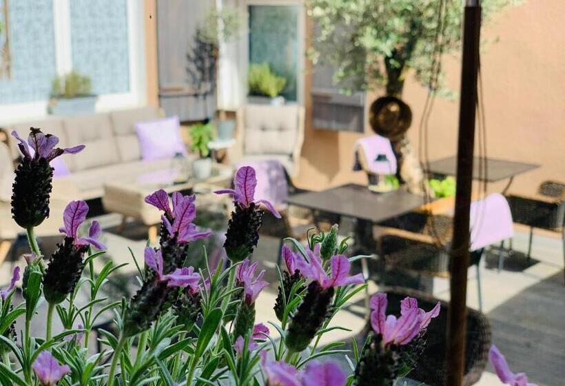 Пансион Zum Weißen Haus