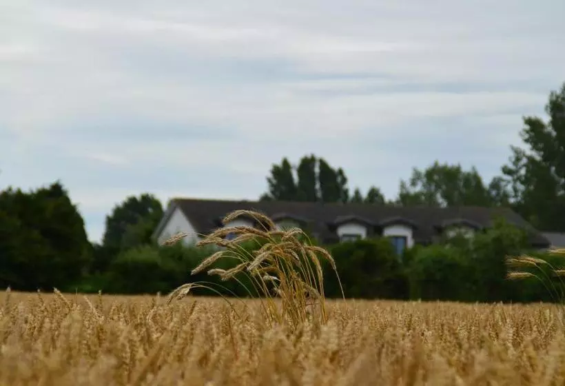 Pension Pastow Garni