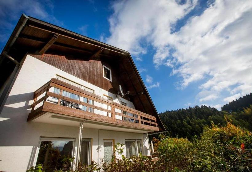 فندق صغير Berghotel Willingen