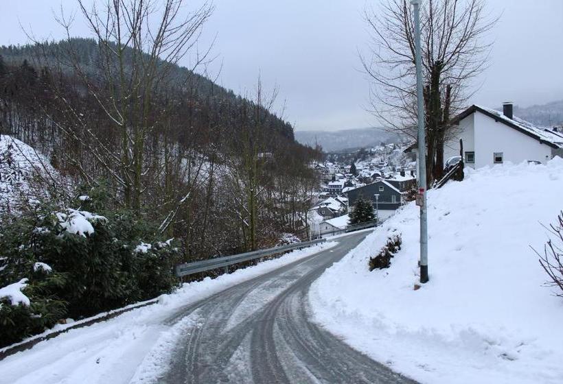 فندق صغير Berghotel Willingen