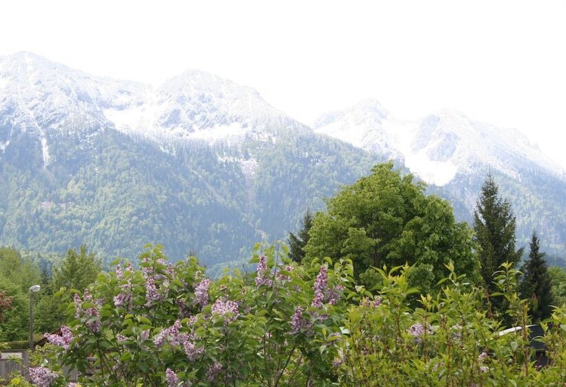 Appartments Reiter Am See