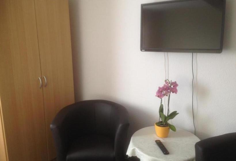 Gasthof & Pension Zum Saalestrand