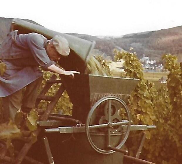 호스텔 Alte Weinschänke