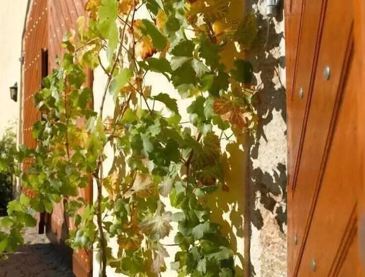 ペンション Gästehaus Im Weingut Schloss Proschwitz