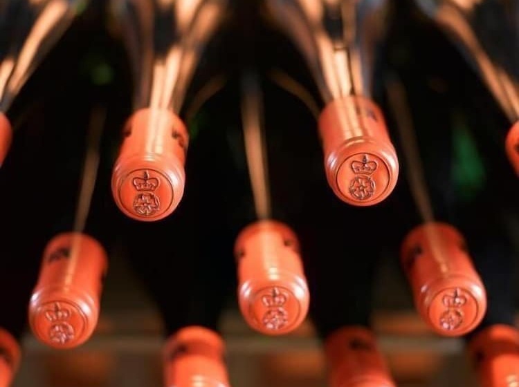 Pensjonat Gästehaus Im Weingut Schloss Proschwitz