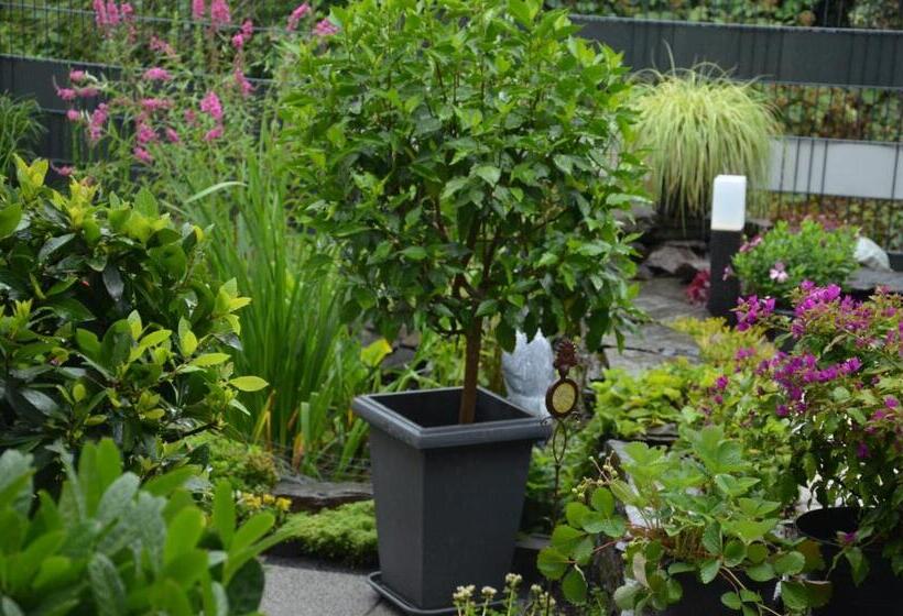 פנסיון Gästehaus Praliné