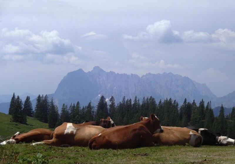 Pensionat Wastl Häusl
