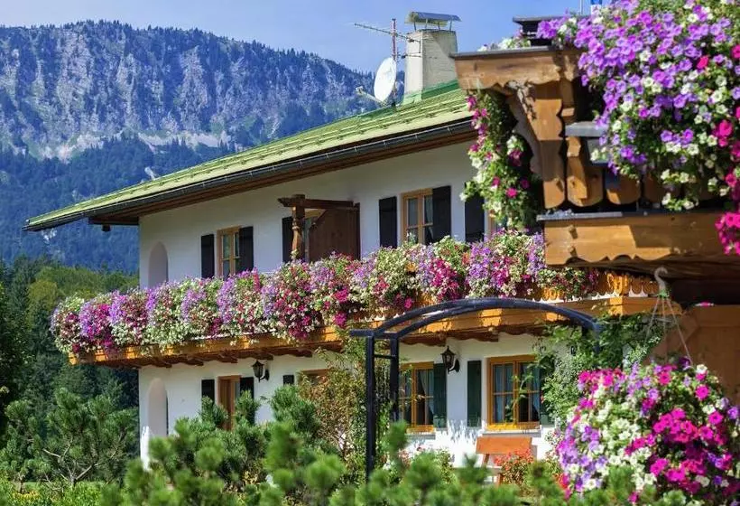 Pension Loiplstüberl