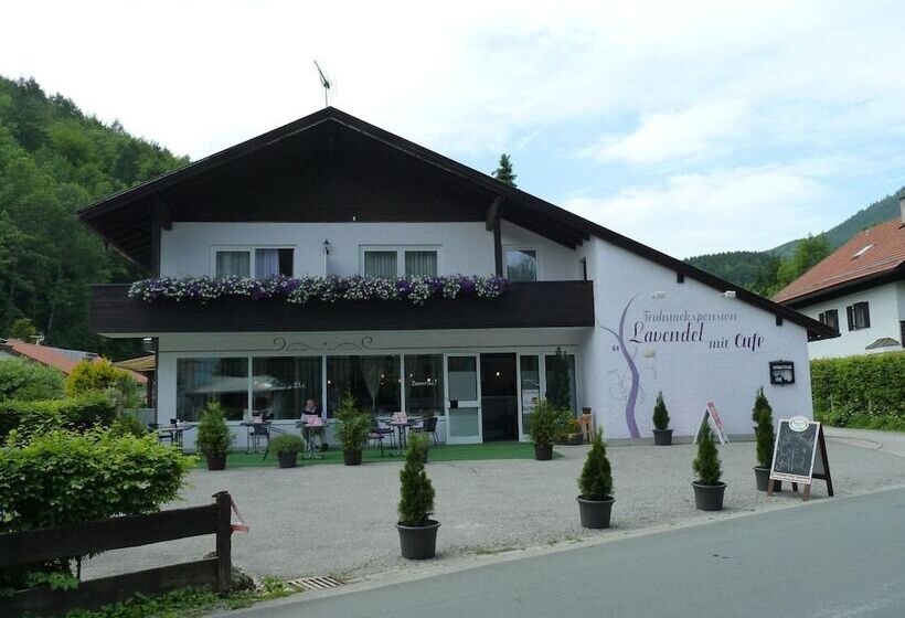 Fruhstuckspension Lavendel