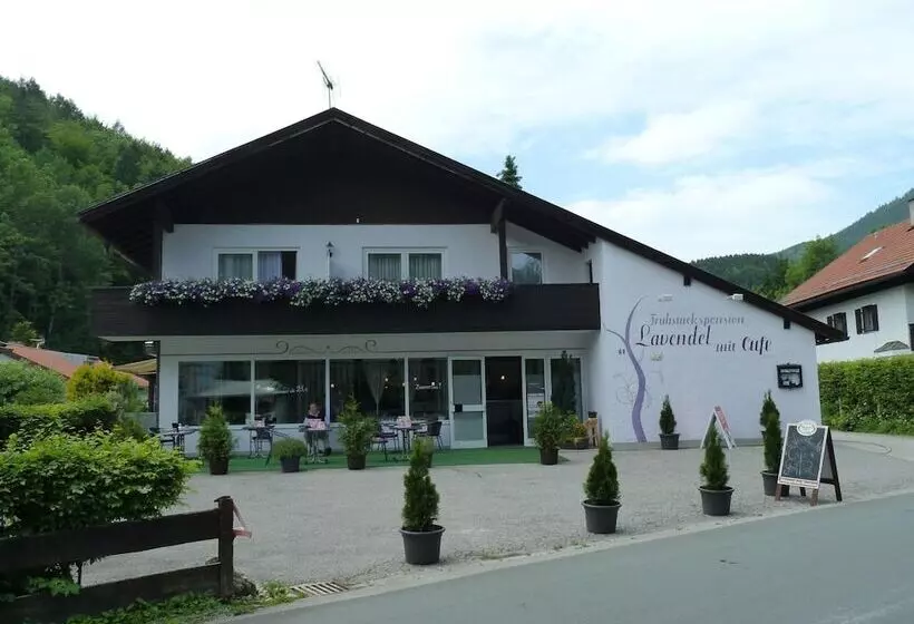 Fruhstuckspension Lavendel