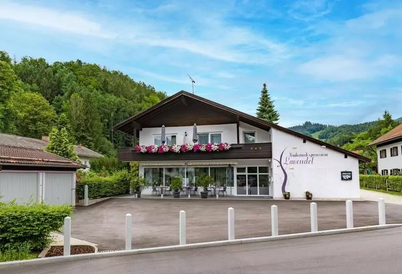 Fruhstuckspension Lavendel