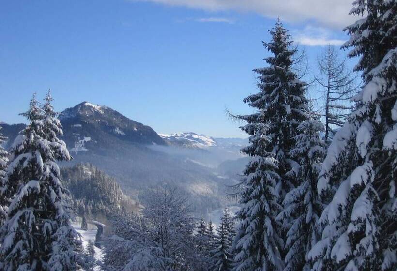 Fruhstuckspension Lavendel