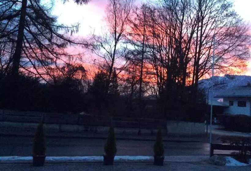 Fruhstuckspension Lavendel