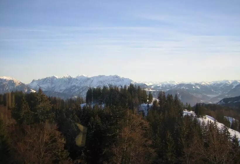 Fruhstuckspension Lavendel