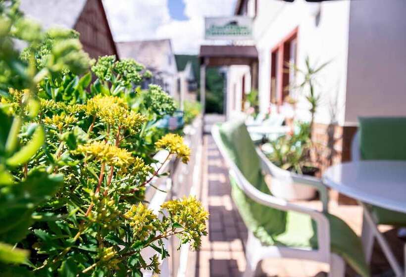 פנסיון Gasthaus Tannenhof