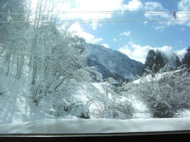 Pensione Gästehaus Staller