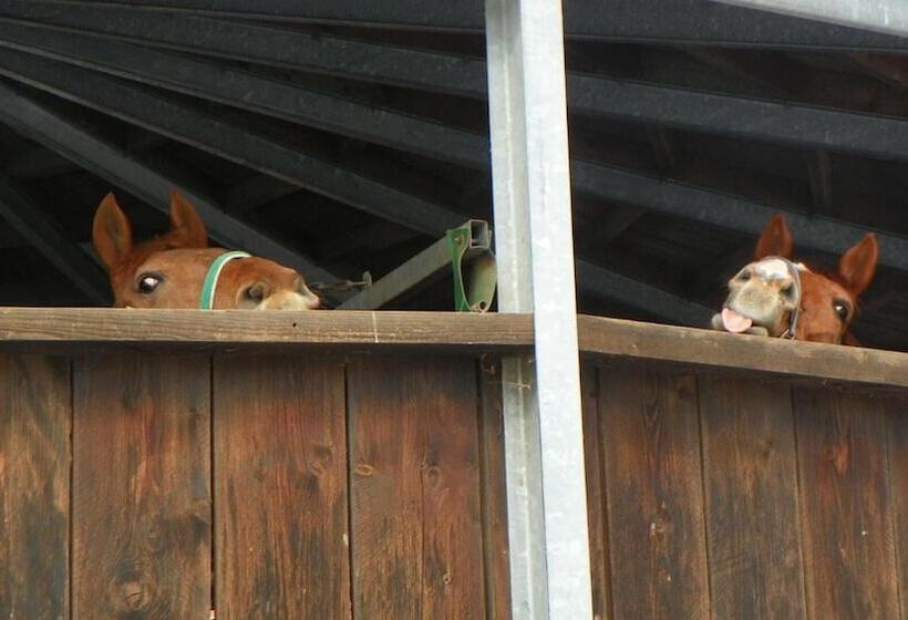 膳宿费 Reiter  Und Ferienhof Redder