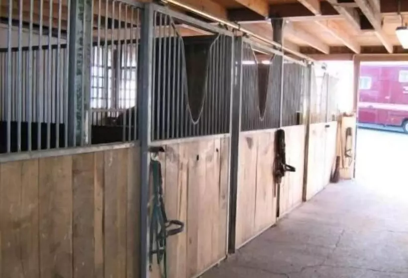 ペンション Reiter  Und Ferienhof Redder