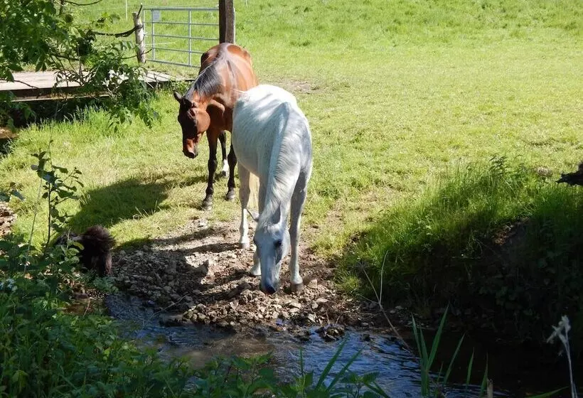 ペンション Reiter  Und Ferienhof Redder