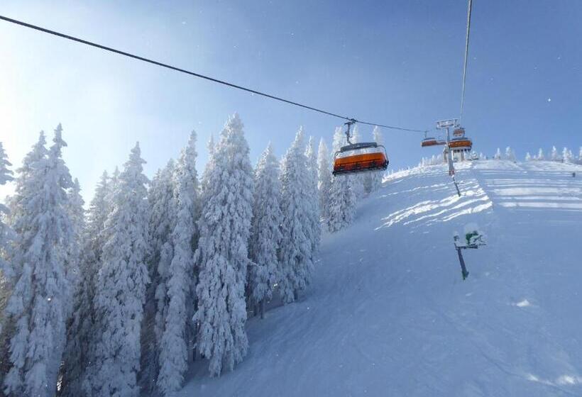 ペンション Riedbergerhorn   Gasthof & Ferienwohnungen